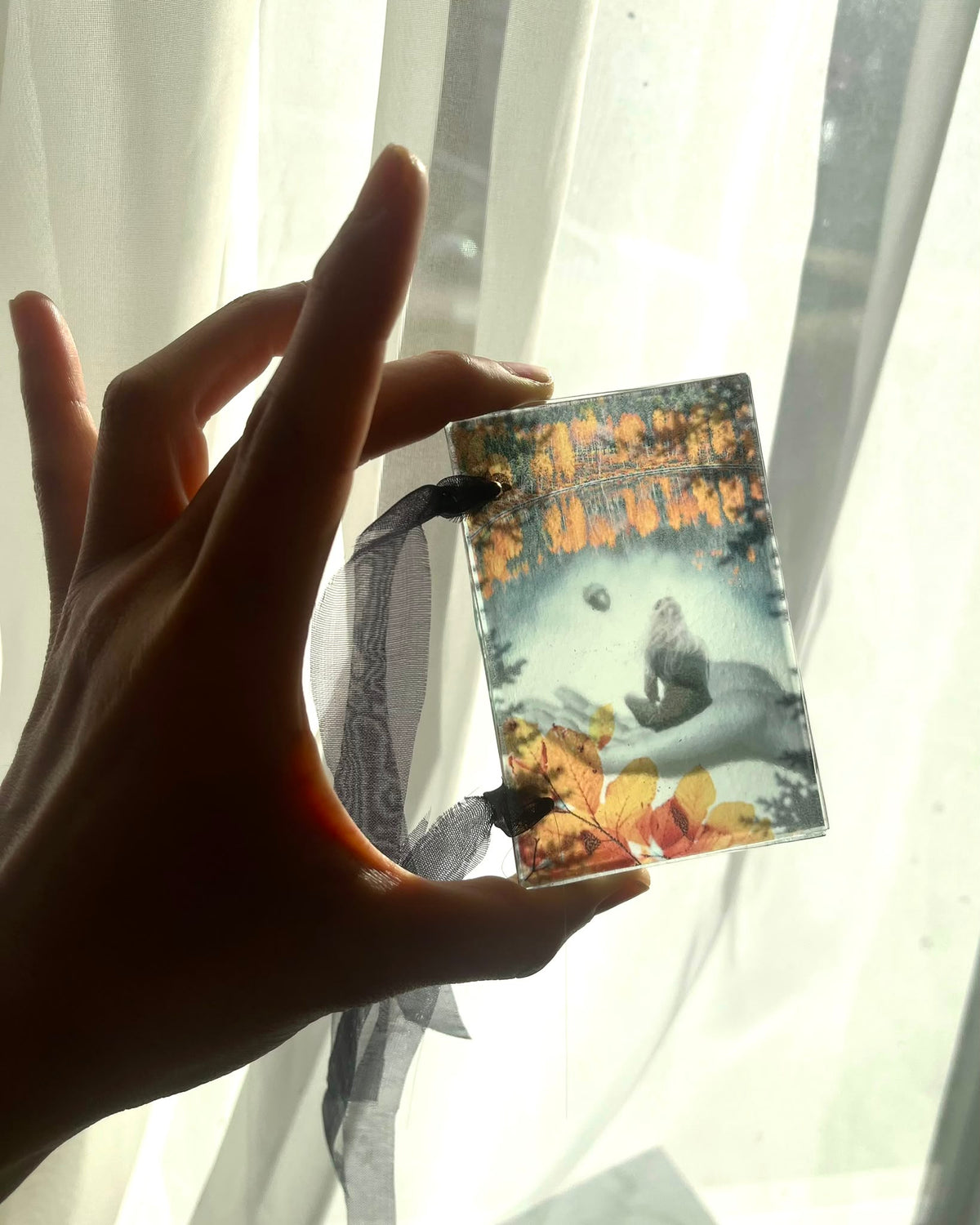 Glass Book #11 - Where The Autumn Begins