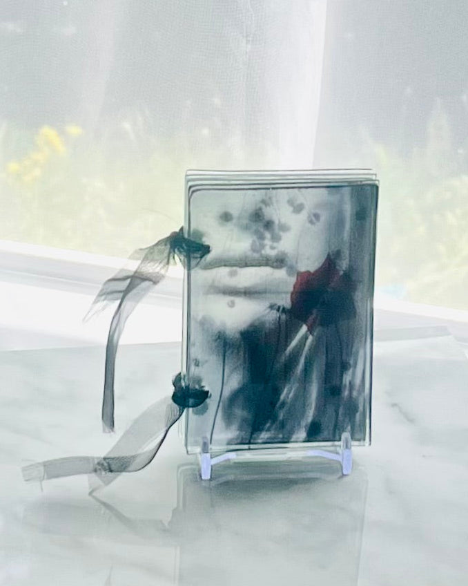 glass book glass botanical image glass flower print glass book night light lips