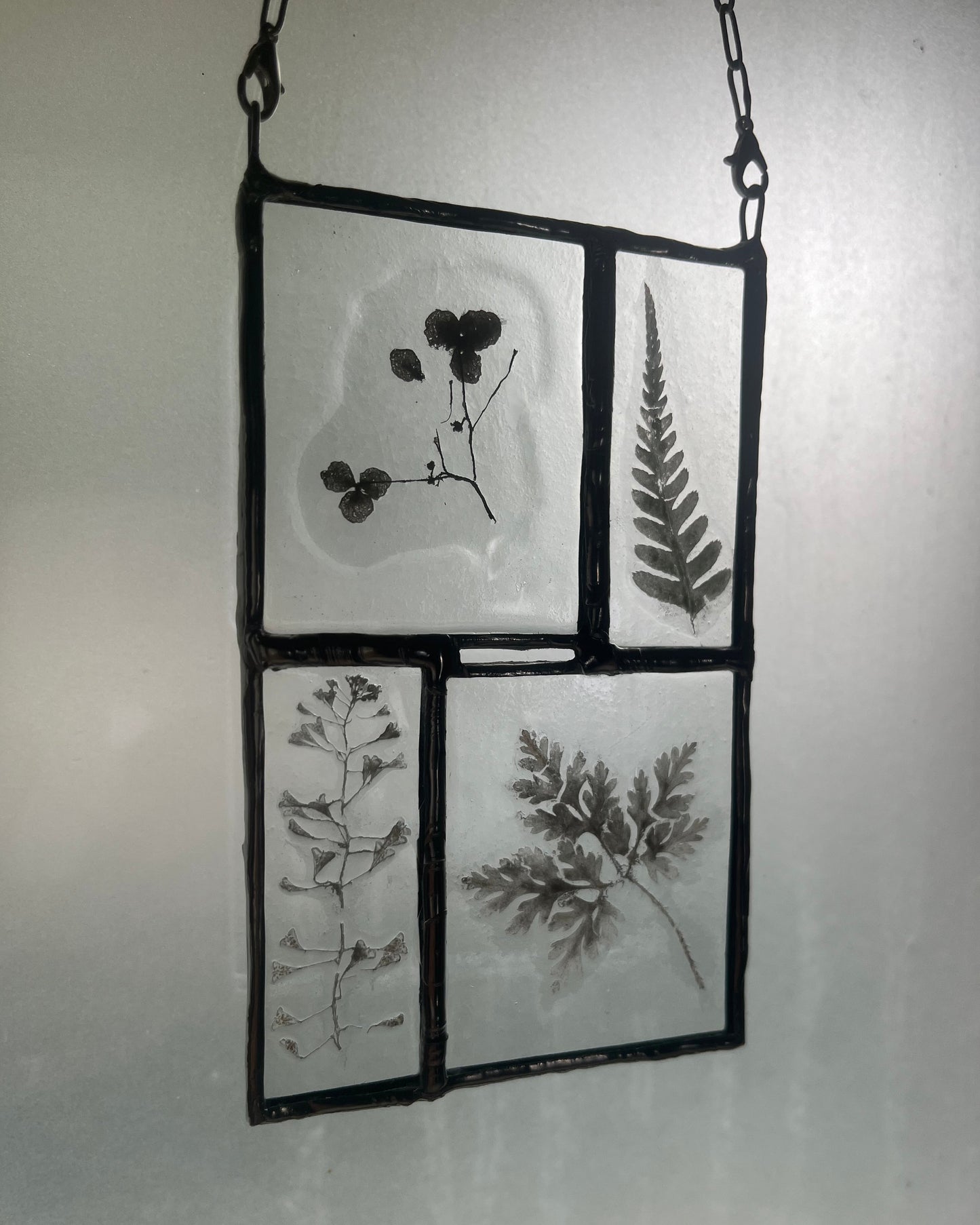 vitrail botanique tenture murale fleur vitrail décoration de fenêtre image photo vitrail vitrail monochrome décoratif