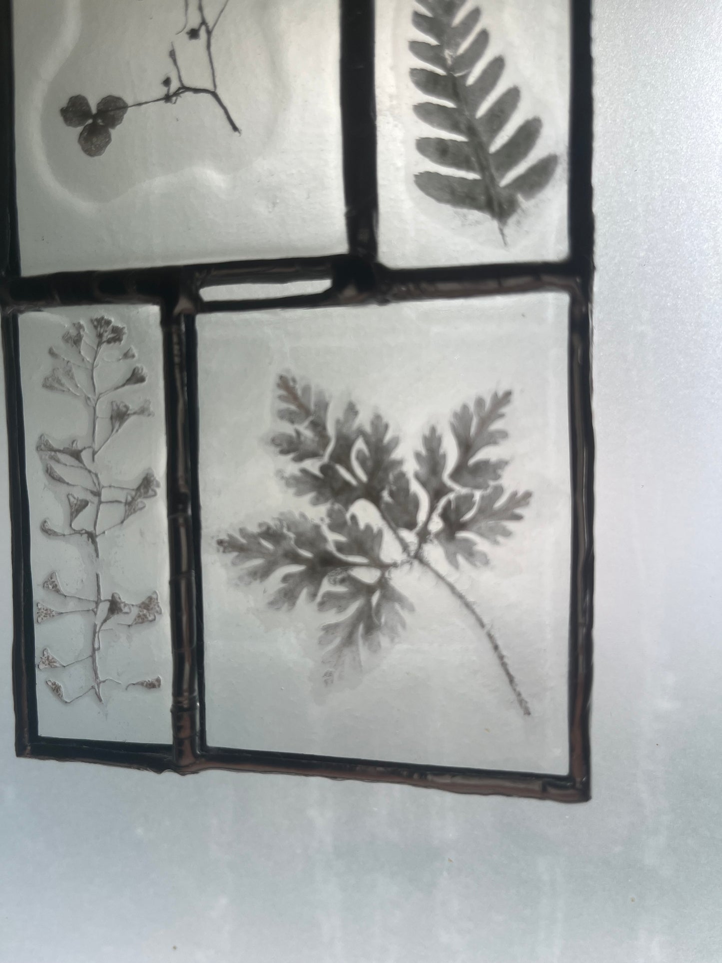 vitrail botanique tenture murale fleur vitrail décoration de fenêtre image photo vitrail vitrail monochrome décoratif