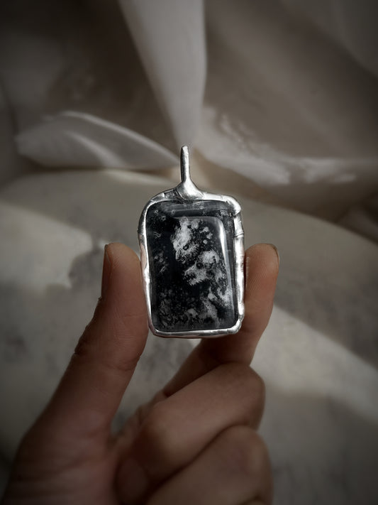 a man and his dog - over the rainbow bridge